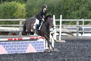 Class 6 - Fences not above 2'9